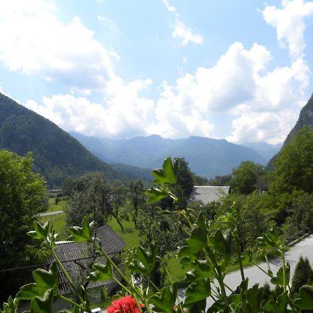 Apartma Cvetek, Srednja Vas 133 Bohinj Exteriér fotografie